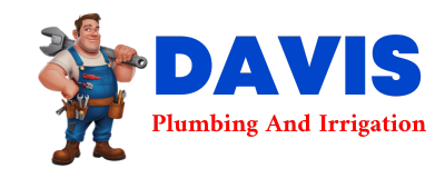 Trusted plumber in QULIN